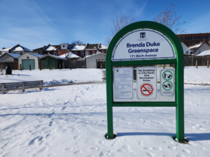 Photo of new Brenda Duke Greenspace park sign, set against a snowy backdrop.